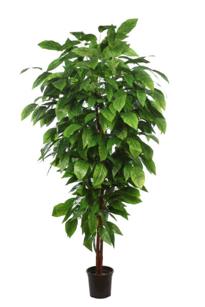 Árbol de ficus artificial 20 x 20 x 145 cm color verde